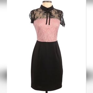 New York & Company Embroidered Pink Lace Dress